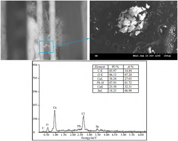 Blue-Green Foreign Object SEM & EDS Results Blue-Green Foreign Object SEM & EDS Results