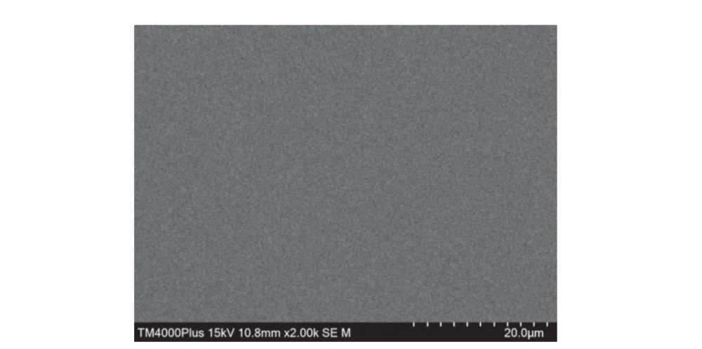 Figure 11 Surface morphology of copper coating